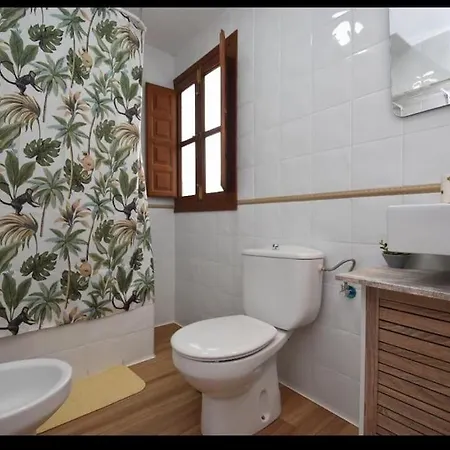 Irene En Albaycin Apartament Grenada